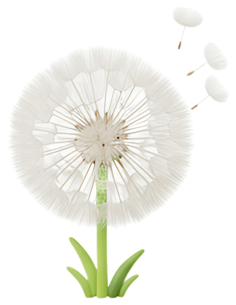 A detailed dandelion flower head with soft white seeds floating away into the air, set against a transparent background. The stem and leaves are a light green, enhancing the overall delicate look of a