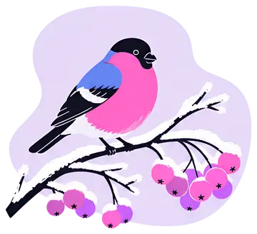 Bullfinch on Frosted Rowan Branch