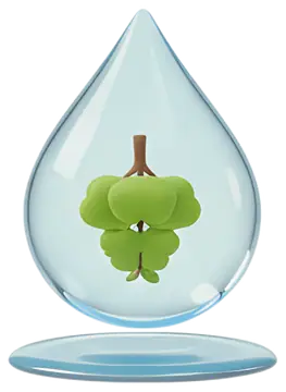 Water Droplet with Miniature Tree