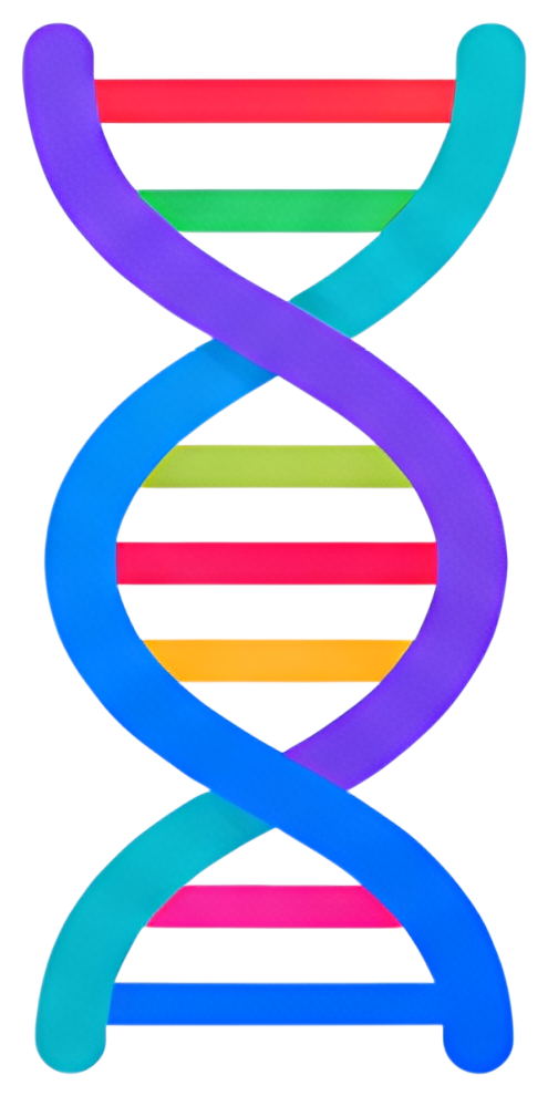 A vibrant DNA helix composed of intertwined colored strands in purple, blue, green, yellow, pink, and red. The structure is visually striking and features bold lines representing the iconic double hel