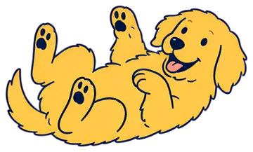 A cheerful golden retriever puppy is lying on its back with its paws in the air, displaying a joyful expression. The puppy's coat is fluffy and bright yellow, emphasized by black paw pads and facial, 